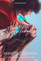Nebe je všude – plakát filmu