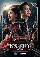 Předurčení k lásce: Film – plakát filmu