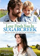 Love Finds You in Sugarcreek – plakát filmu