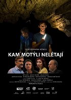 Kam motýli nelétají – plakát filmu